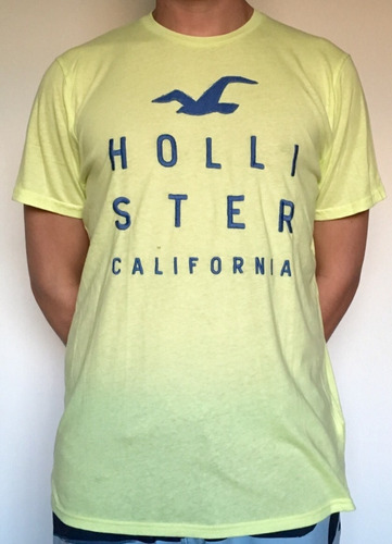 Camiseta Hollister California Bordado