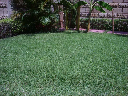 Casa Fin Semana Alberca Privada 4 Recs Internet 1,500 P/día