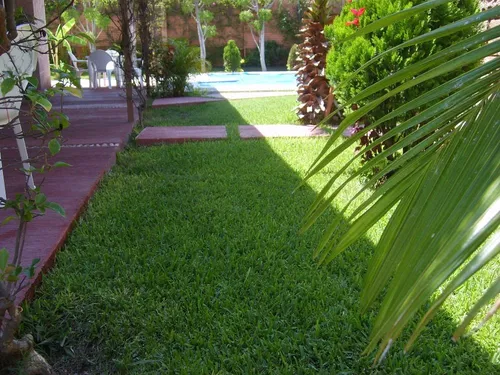 Casa Fin Semana Alberca Privada 4 Recs Internet 1,500 P/día