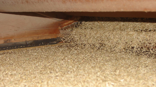 Semillas Ryegrass Anual Estanzuela Picasso 1kg - 20mt2