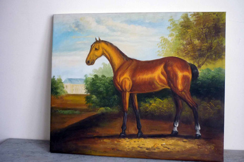 Caballo, Oleo Sobre Tela