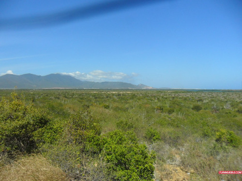 Imagen 1 de 7 de Terreno En Venta En Nueva Esparta - Margarita (suroeste)