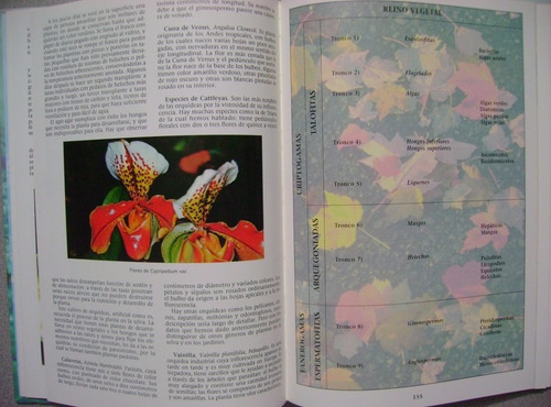 Ciencias Naturales Medio Ambiente Y Ecología Enciclopedia 3t