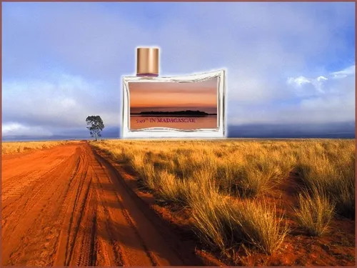 Kenzo 540 madagascar 90ml sale