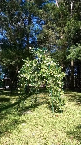 Jardín - Glorieta/soporte Para Plantas