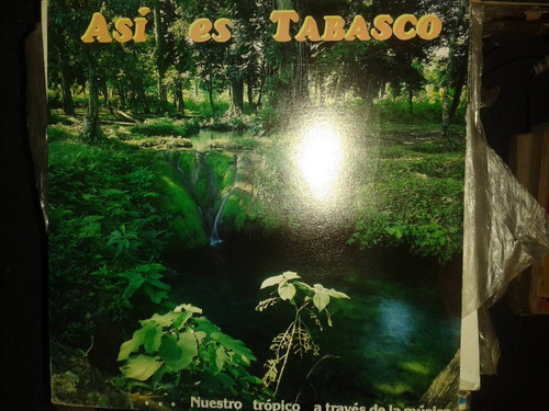 Disco Acetato De Asi Es Tabasco Nuestro Tropico A Traves De