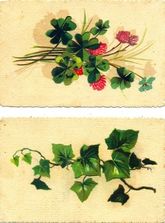 Cartões Postais Antigos -itália ..plantas E Flores-kit Com 2