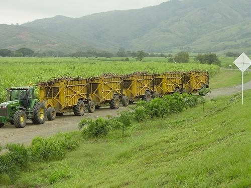  Monte Plata Bayaguana Guerra Nagua Los Llanos Hato Mayor Seibo Finca Cañera Agrícola Ganadera  75,000 Tarea  