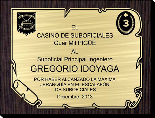 Placa Reconocimiento Acrilico Madera - Torfeos Y Medallas