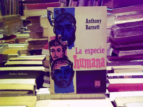 La Especie Humana Hallazgos Recientes Anthony Barnett