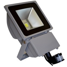 Foco 80w Led Epistar, Ip65 Con Sensor Movimientos Infrarrojo