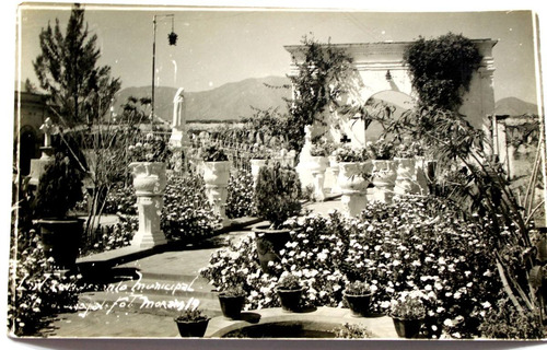 Foto Postal Cementerio Municipal Chileno Años 50