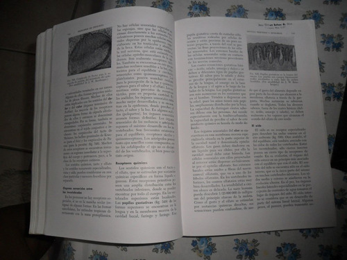 Princípios De Zoologia Cleveland P. Hickman