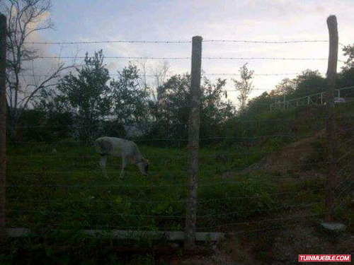 Imagen 4 de 5 de Terrenos En Venta