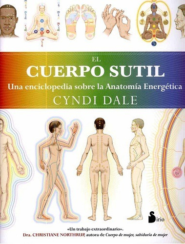 Cuerpo Sutil Cyndi Dale - Libro Enciclopedia - Envio En Dia