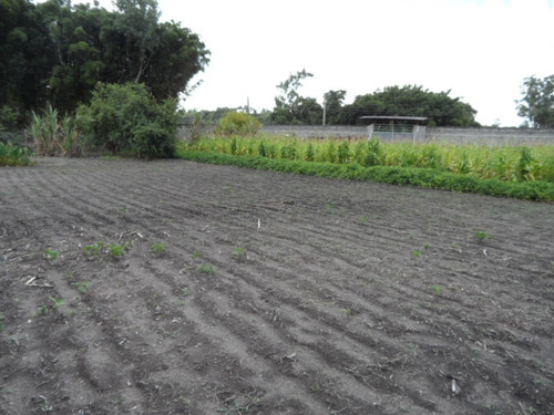 Imagem 9 de 14 de Ibiúna Chácara Frente C/à Bunjiro Nakao C/11.000m2 Comercial