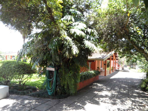 Imagem 4 de 14 de Ibiúna Chácara Frente C/à Bunjiro Nakao C/11.000m2 Comercial