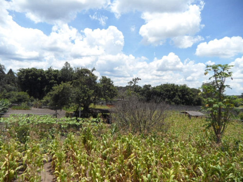 Imagem 7 de 14 de Ibiúna Chácara Frente C/à Bunjiro Nakao C/11.000m2 Comercial