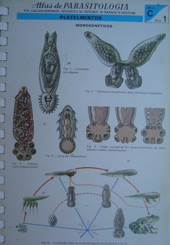 Atlas De Parasitologia Ilustrado De 1974 - Gállego Berenger