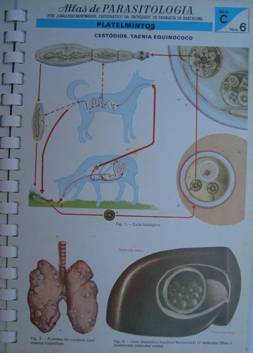 Atlas De Parasitologia Ilustrado De 1974 - Gállego Berenger