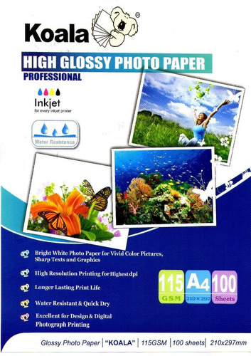 Papel Fotográfico Inkjet Brillante A4 115,135 Grs X700 Hojas