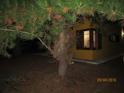 Cabañas Pacha Wasi .,te Espera En Otoño¡¡¡¡¡¡