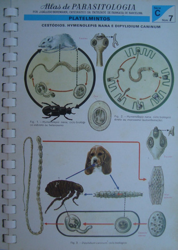 Atlas De Parasitologia Ilustrado De 1974 - Gállego Berenger