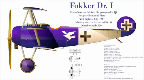 Lienzo Canvas Arte Avión Fokker Dr I Alemania 1917 50x90