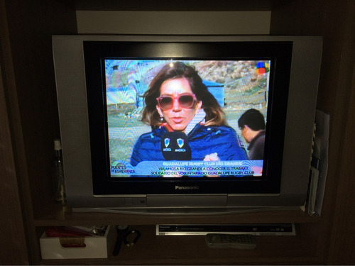 Tv 21 Plana Real Flat Panasonic Excelente Estado!