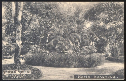 Museu Goeldi - Horto Botânico - Pará - 21121468