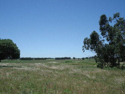 Campo Para Agricultura, Ganadería, Haras O Descanso