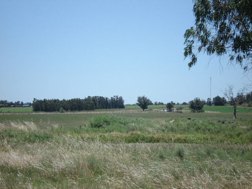 Campo Para Agricultura, Ganadería, Haras O Descanso
