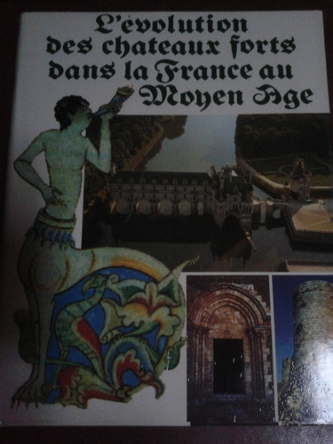 L'evolution Des Chateaux Forts Dans La France Au Moyen Age A