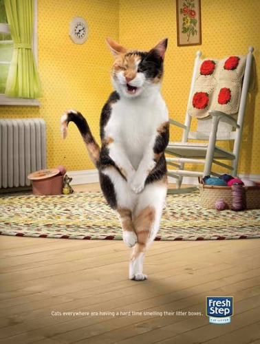 Imagen 2 de 2 de Arena Gatos Fresh Step 19.1 Kg 42 Lb Febreze 10dias Sin Olor