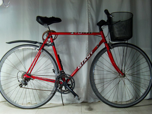 Giant Rutera