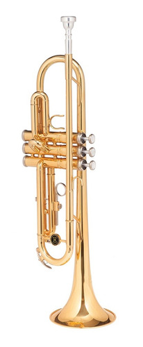 Trompete Michael Dual Gold Wtrm48 Bb  Duplo Dourado