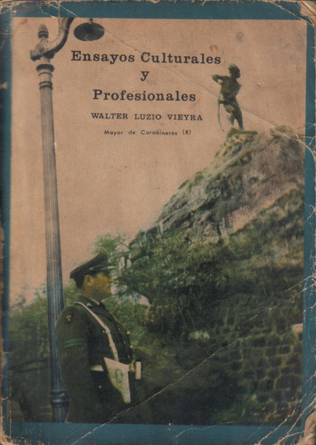 Ensayos Culturales Y Profesionales / Walter Luzio Vieyra