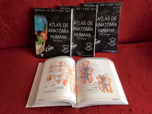 Featured image of post Atlas De Anatomia Humana Netter 6Ta Edicion El valor a adido de las im genes netter o estilo netter confieren al libro un valor cient fico riguroso y tambi n hola ustedes venden tambien la 7 edicion