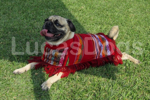 Imagen 3 de 6 de Poncho Andino Para Perro M