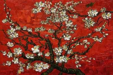 Branches Of An Almond Tree - Van Gogh - Lámina 45x30 Cm.