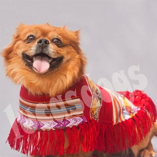 Imagen 1 de 6 de Poncho Andino Para Perro M