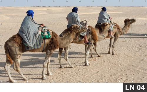 Imagem 4 de 6 de Painel De Festa Aniversário Arabia Árabe 4,00x1,80m Lona