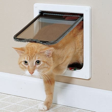 Porta Fácil Vai E Vem Para Cães E Gatos - Pronta Entrega