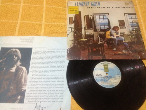 Andrew Gold Whats Wrong Whit This Pictures? Disco De Vinil 