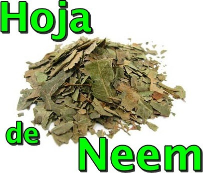 Hoja De Neem Deshidratada 1kg Azadirachta Indica