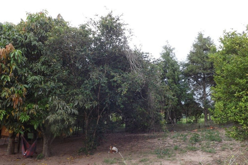 Imagem 6 de 14 de Sitio Gigante Adormecido I Bofete Km 183- 25000 Mtrs