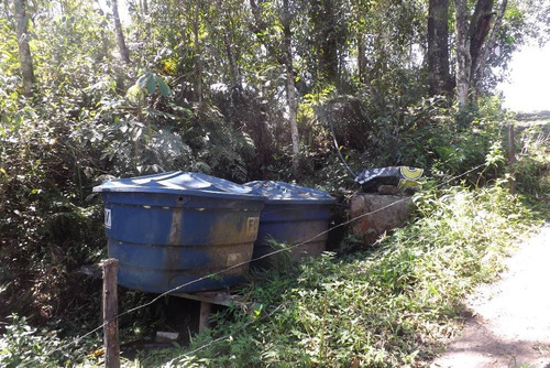 Imagem 9 de 14 de Sitio Gigante Adormecido I Bofete Km 183- 25000 Mtrs