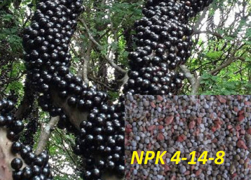 Adubo Npk 04-14-08 Ideal Para Floração E Frutificação  2 Kg
