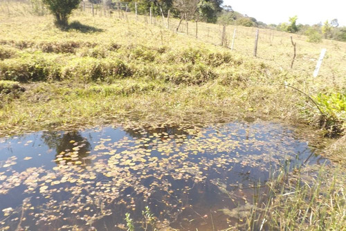 Imagem 7 de 14 de Sitio Gigante Adormecido I Bofete Km 183- 25000 Mtrs