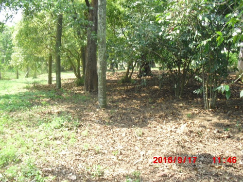 Imagem 14 de 15 de Chacara 30.000m2 Prox. A Cidade | 47146 - 47146